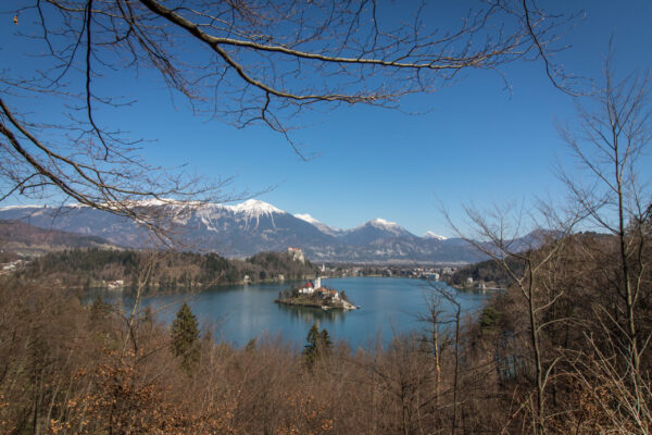Lake Bled Island Wide-angle